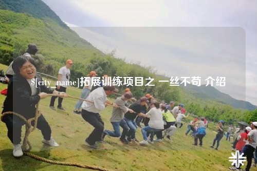 图木舒克拓展训练项目之 一丝不苟 介绍